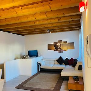 Central Luxury Garden Guest House